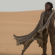 Sharon Duncan-Brewster as Liet-Kynes.